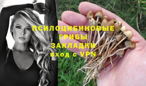не бодяженный Алексин