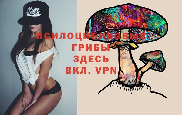 гидропоника Алзамай