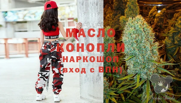 гидропоника Алзамай