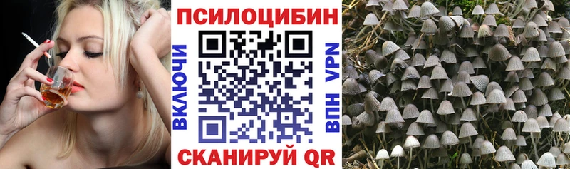 Псилоцибиновые грибы Psilocybine cubensis  где найти   Слободской 