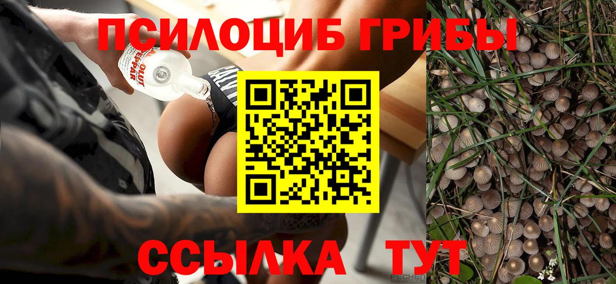 Псилоцибиновые грибы Magic Shrooms  Вход с VPN  Галлюциногенные грибы прущие грибы  Слободской 