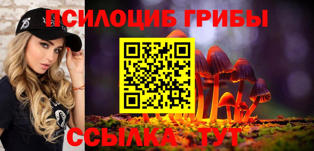 Псилоцибиновые грибы MAGIC MUSHROOMS Слободской