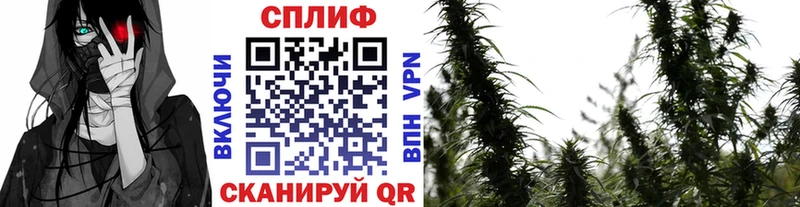 где найти Слободской Канабис марихуана